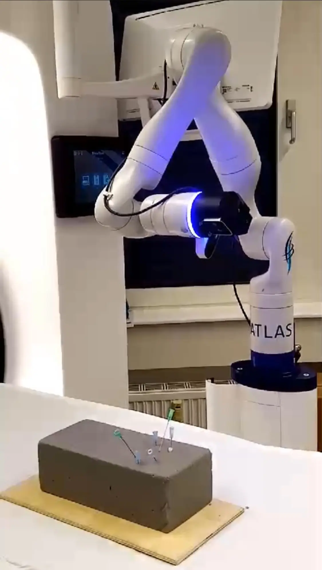 Atlas- und Bandscheibenfokus – Schonende Techniken für Wirbelsäulenpatient:innen.